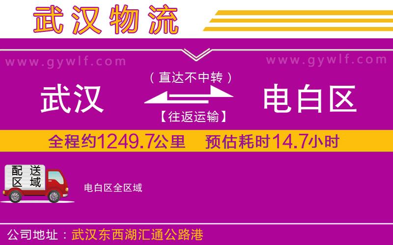 武漢到電白區(qū)物流專線 武漢到電白區(qū)物流專線