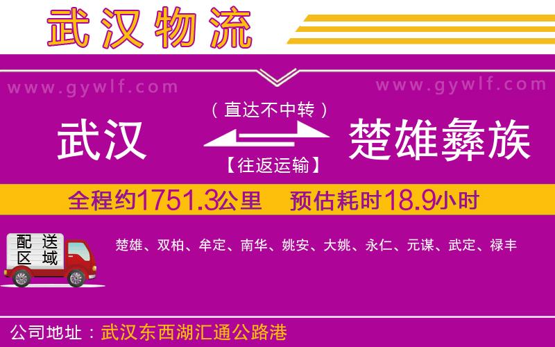 武漢到楚雄彝族自治州物流專線 武漢到楚雄彝族自治州物流專線