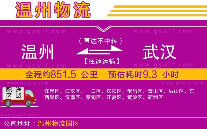 溫州到武漢物流公司 溫州到武漢物流公司