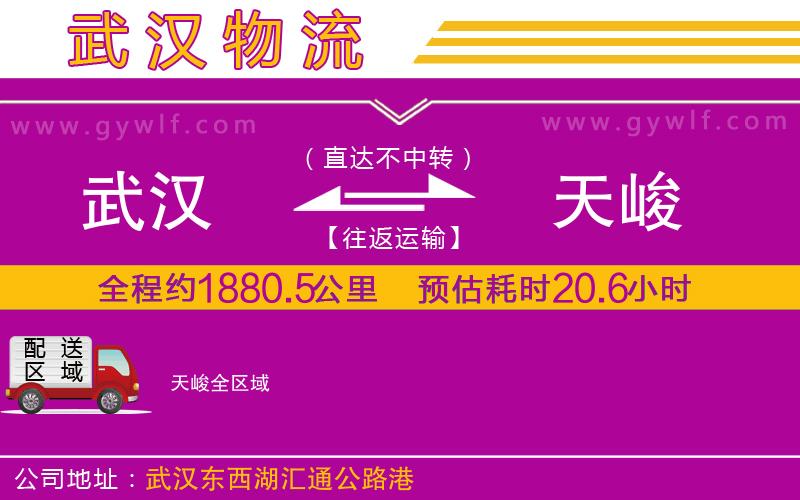 武漢到天峻物流專線 武漢到天峻物流專線