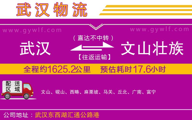 武漢到文山壯族苗族自治州物流專線 武漢到文山壯族苗族自治州物流專線