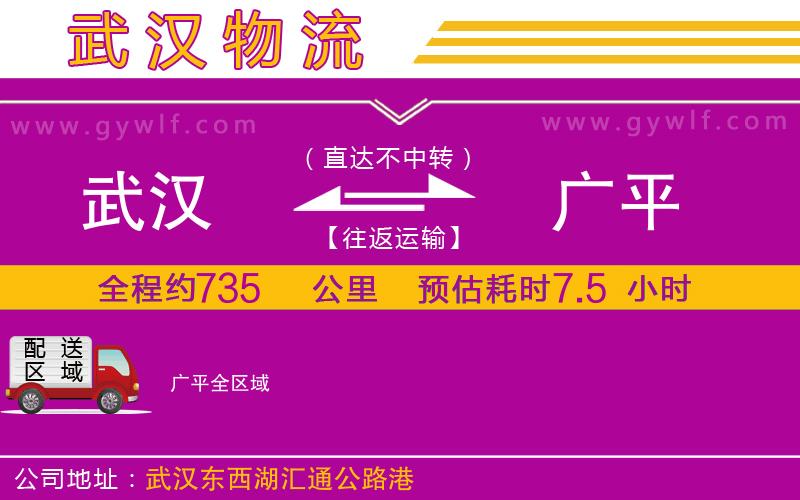 武漢到廣平物流公司 武漢到廣平物流公司