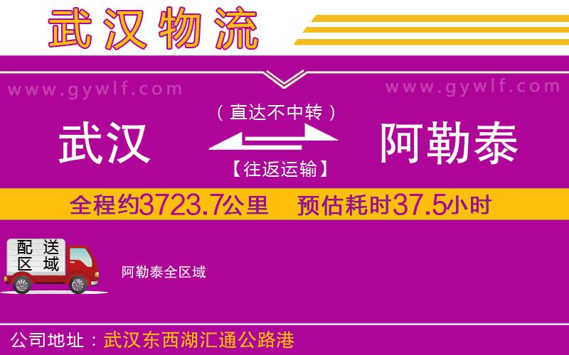 武漢到阿勒泰貨運(yùn)公司 武漢到阿勒泰貨運(yùn)公司