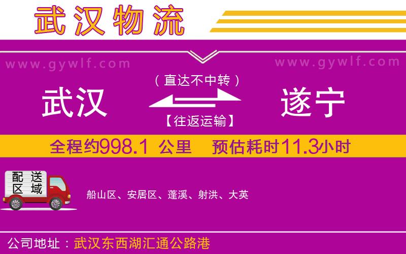 武漢到遂寧物流公司 武漢到遂寧物流公司