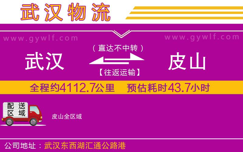 武漢到皮山貨運公司 武漢到皮山貨運公司