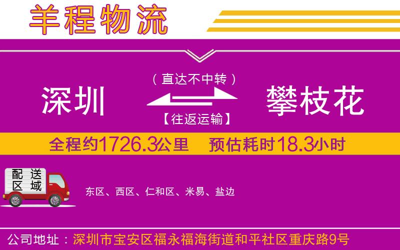 深圳到攀枝花物流公司 深圳到攀枝花物流公司