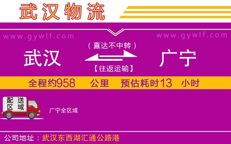 武漢到廣寧貨運公司 武漢到廣寧貨運公司
