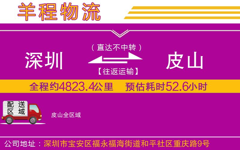 深圳到皮山貨運(yùn)公司 深圳到皮山貨運(yùn)公司