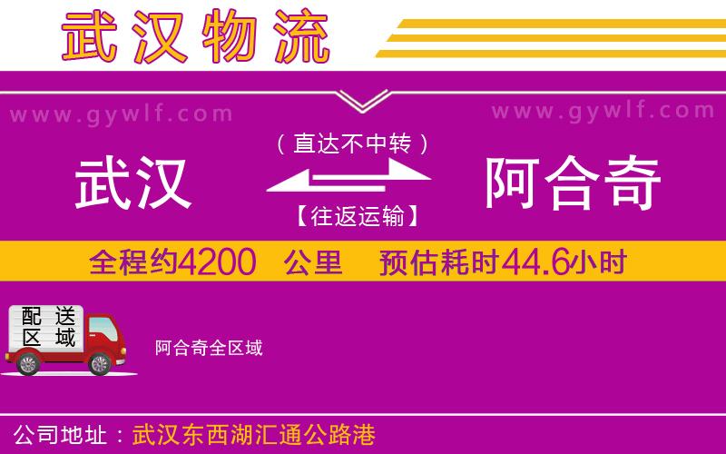 武漢到阿合奇物流專線 武漢到阿合奇物流專線
