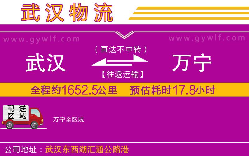 武漢到萬寧物流公司 武漢到萬寧物流公司