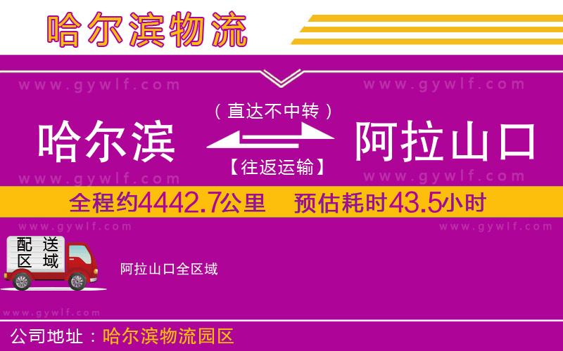 哈爾濱到阿拉山口物流公司 哈爾濱到阿拉山口物流公司
