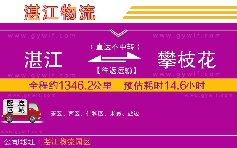 湛江到攀枝花物流公司 湛江到攀枝花物流公司