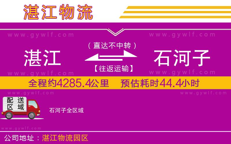 湛江到石河子物流公司 湛江到石河子物流公司