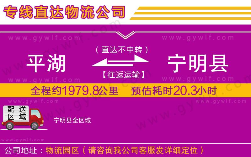 平湖到寧明縣物流公司 平湖到寧明縣物流公司