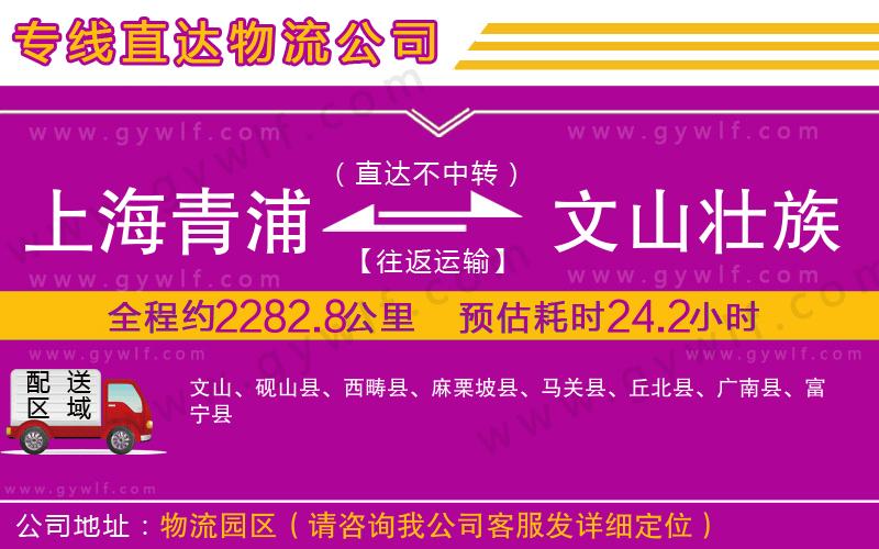 上海青浦區(qū)到文山壯族苗族自治州物流公司 上海青浦區(qū)到文山壯族苗族自治州物流公司