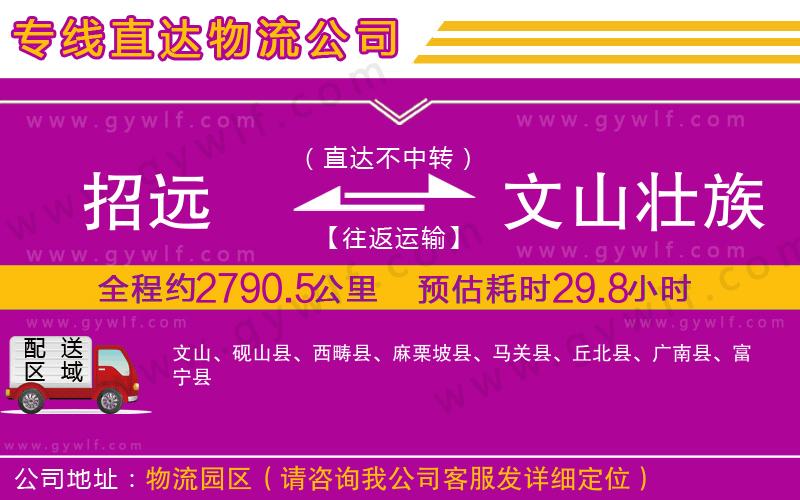 招遠到文山壯族苗族自治州物流公司 招遠到文山壯族苗族自治州物流公司
